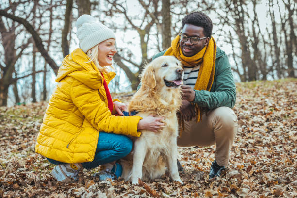 istock Couple Taking Golden Retriever For Walk. 1388032787