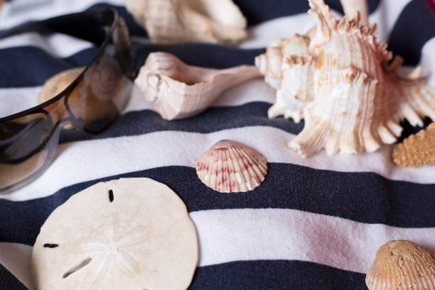 istock Vacation Holiday at the beach collecting sea shells. 1388034886