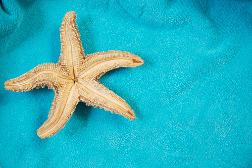 Vacation Holiday at the beach collecting sea shells.  Starfish on turquoise beach towel.  Nice copy space.