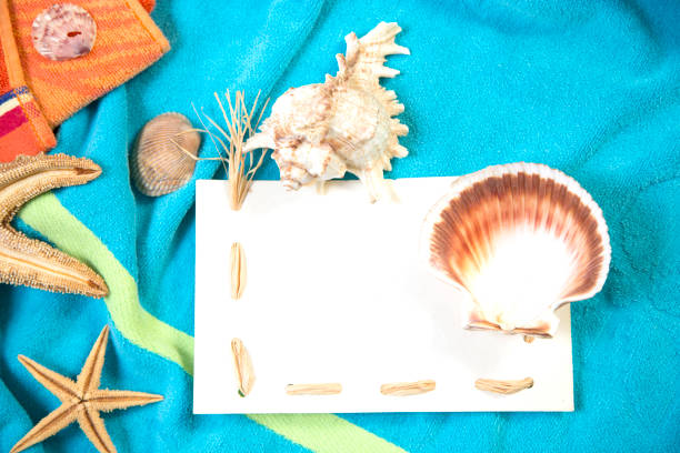 istock Vacation Holiday at the beach collecting sea shells. 1388035124