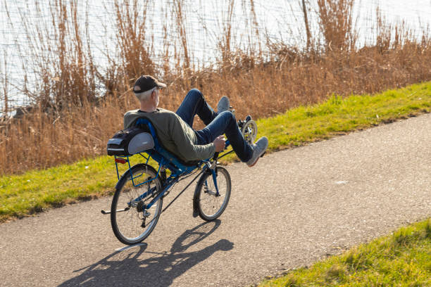 älterer mann fährt mit einem liegerad mit schilf am wasser entlang. - liegefahrrad stock-fotos und bilder