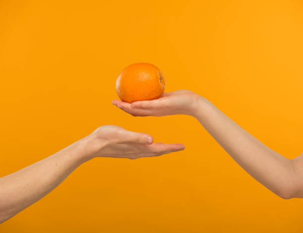 a delicious orange lies on an open female palm; male palm on the opposite side is empty and open on a bright yellow background close-up stock photo