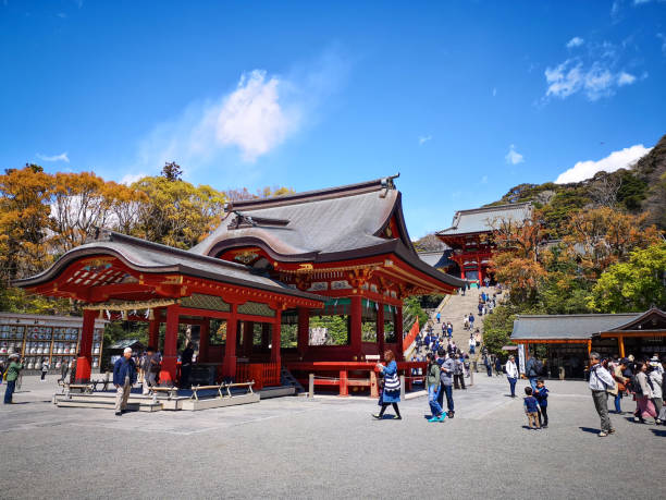 April 2, 2019 - Kamakura, Japan: people at the surrondings of Tsurugaoka Hachimangū shrine temple, the center of much cultural activity and both yabusame, (archery from horseback), and kyudo (Japanese archery) are practiced within the shrine