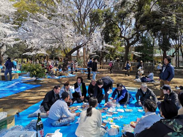 Picnic at Ueno Park, Tokyo April 3, 2019 - Tokyo, Japan:  group of japanese people having a picnic at Ueno park in spring, Tokyo shinobazu pond stock pictures, royalty-free photos & images