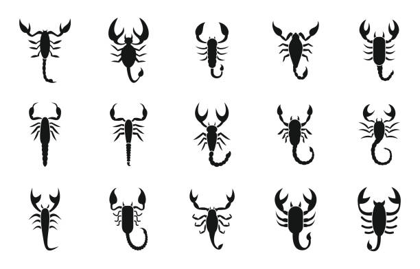 skorpion icons set, einfacher stil - skorpion spinnentier stock-grafiken, -clipart, -cartoons und -symbole