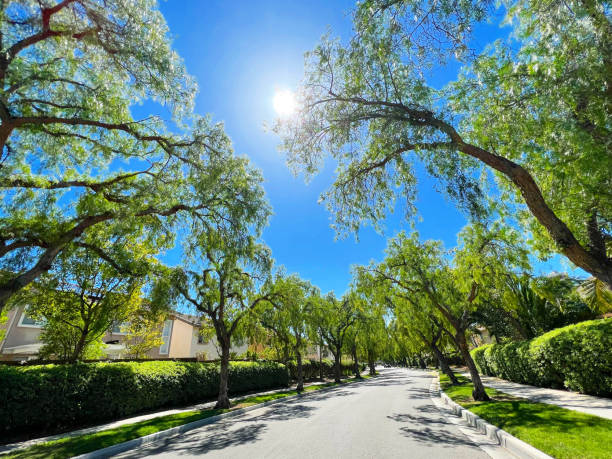 Beautiful landscape & nature in California.