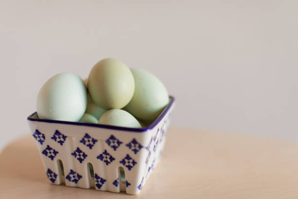 Brown and blue Heritage Eggs come from two distinct breeds of birds; the Speckled Legbar Hens, who lay the various shades of blue eggs, and the Copper Maran Hens, who lay the brown. In short, the breed and health of the hen dictates what color eggshells she produces. In fact, all eggs start out white and, as they move through the hen’s oviduct, pigments are deposited onto the shell that then produce the varying shell shades you see in your egg carton. This is also why—like snowflakes and people—no two eggs look identical to one another. Depending on each bird’s individual genetic makeup, eggs across the same breed and even two eggs laid by the same bird will typically vary in shade and speckles.