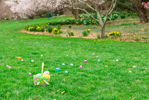 An Easter basket is in the grass amongst many Easter eggs