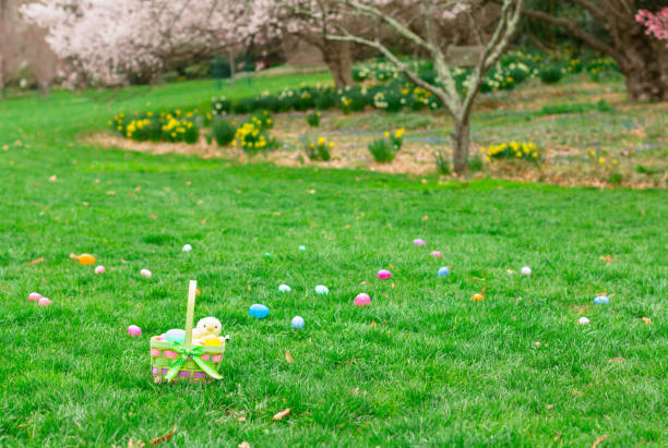 Easter egg hunt stock photo