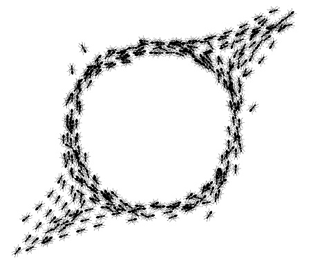 Ants trail circle frame, line of working ants on white background. Groups of insect marching or walking down the road. Insect colony, control disinfection, vector illustration.