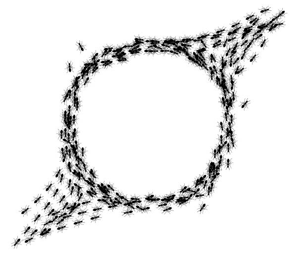 Ants trail circle frame, line of working ants on white background. Groups of insect marching or walking down the road. Insect colony, control disinfection, vector illustration Ants trail circle frame, line of working ants on white background. Groups of insect marching or walking down the road. Insect colony, control disinfection, vector illustration. ant colony swarm of insects pest stock illustrations