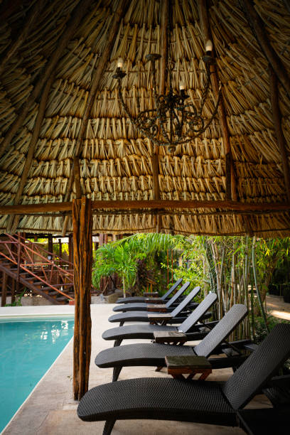 istock Lounge chairs under thatched roof by pool 1388082330
