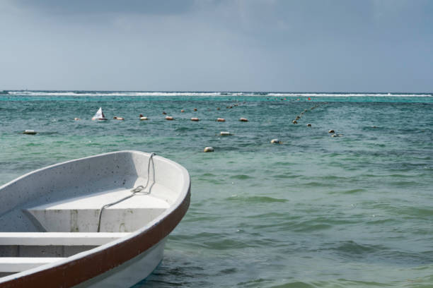 istock Boat in Akumal Bay 1388082355