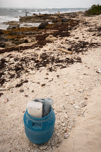 Collecting plastic trash on the beach, Akumal Bay, Maya Riviera, Mexico
