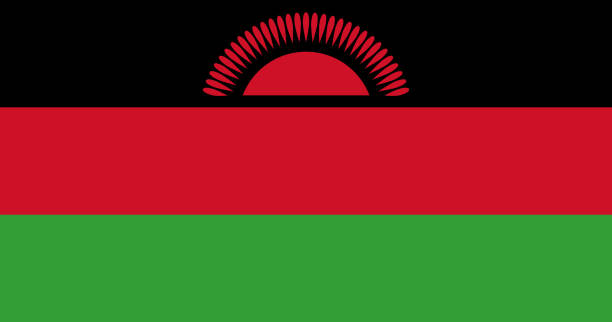 ilustrações, clipart, desenhos animados e ícones de bandeira do malawi com design original de ilustração vetorial de cor rgb - flag national flag africa african culture