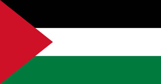 kuvapankkikuvitukset aiheesta palestiinan lippu alkuperäisellä rgb-värivektorikuvalla - palestine liberation organization