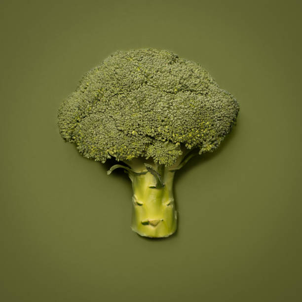 istock Shot of a broccoli floret against a studio background 1388102429