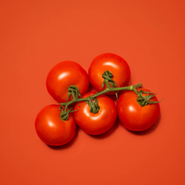 istock Shot of a vine of tomatoes against a studio background 1388102743