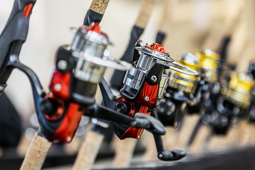 assortment of inertia-free fishing reels on the counter of a fishing store