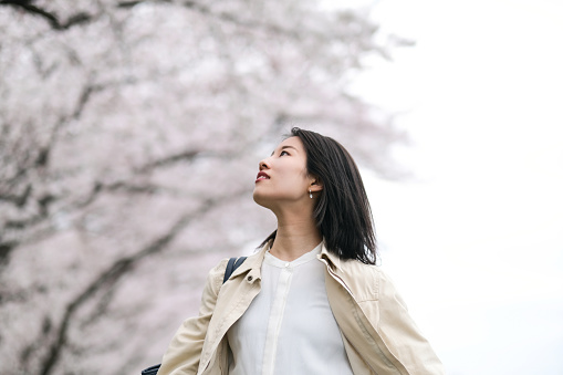 Young woman walking under the blooming cherry trees
