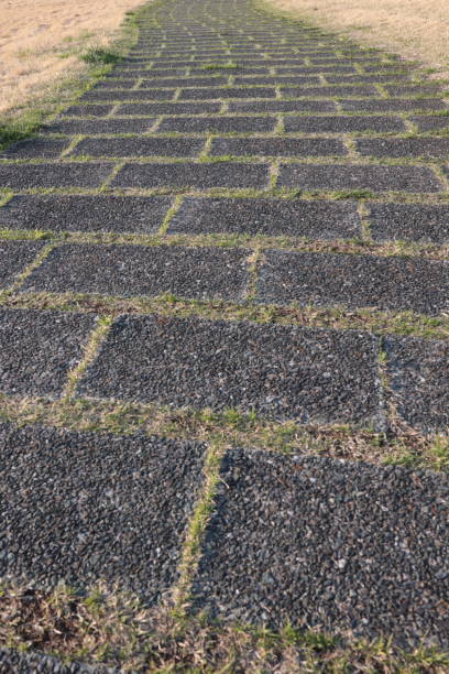 istock Cobbled road on the lawn 1388113636