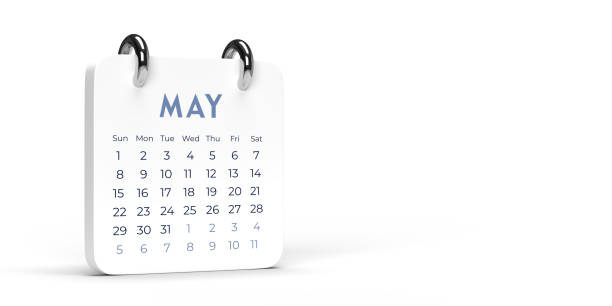 Monthly Set Desk Calendar 2022 template: 3D illustration on empty white surface with large space for additional text. Horizontal composition with dropped shadow. Set of 12 Months. Week starts on Sunday. Stationery planner.