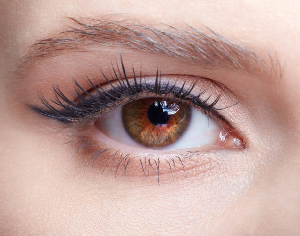 Closeup macro shot of  human female eye with  light pink  eyes shadows stock photo