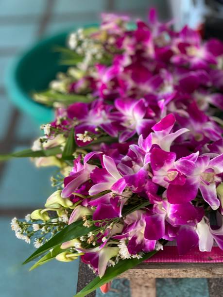 istock Thai Orchid in market 1388117744