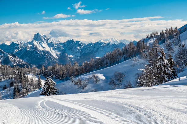 esquí montañero en la estación de esquí del monte zoncolan, alpes cárnicos, friuli-venezia giulia, italia - powder snow ski ski track track fotografías e imágenes de stock