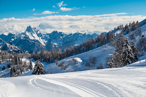 On Mount Zoncolan, Carnic alps after a big snowfall. Udine province, Friuli-Venezia Giulia region, Italy