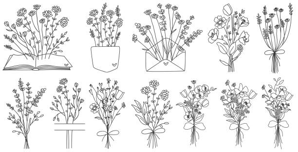 Floral hand drawn compositions. Wildflower bouquets, monogram Floral hand drawn line art compositions bunch of flowers stock illustrations