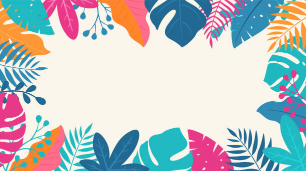 76,800+ Tropical Frame Stock Illustrations, Royalty-Free Vector