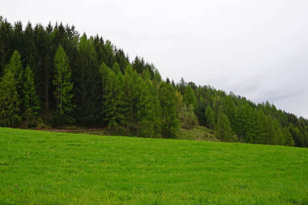 istock Natural landscape of green mountain range with cloudy sky 1388124161