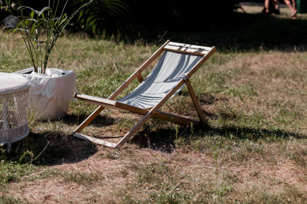 istock Wooden sunbed on garden 1388132910