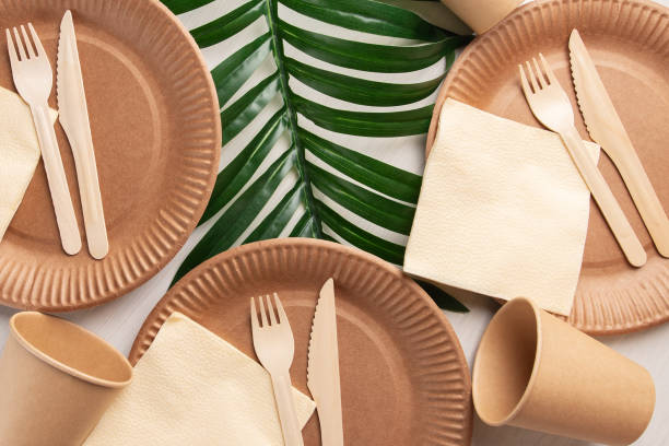 istock eco tableware, disposable biodegradable ecological organic cardboard plates, wooden forks and knives, paper cup, bamboo cutlery, 1388133242