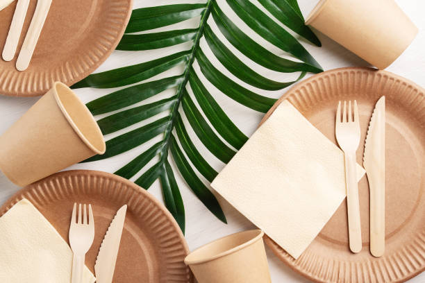 istock disposable biodegradable ecological tableware, eco packaging, organic cardboard plates, wooden forks and knives, paper cup, 1388133246