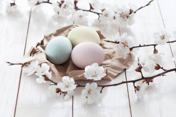 istock Colored chicken eggs with spring flowering twigs on a white wooden background. Easter holiday concept. spring background 1388133521