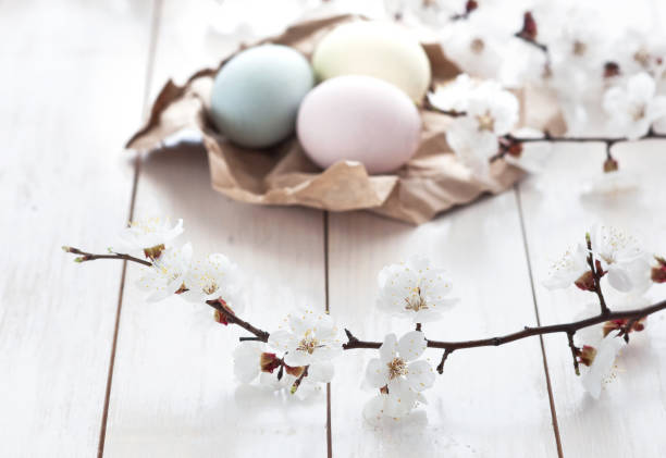 istock Colored chicken eggs with spring flowering twigs on a white wooden background. Easter holiday concept. spring background 1388133523