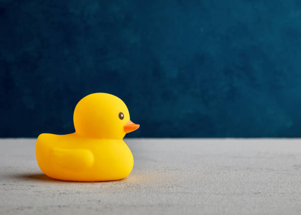 青い背景に黄色のゴム製アヒル�のおもちゃ。 - duck toy ストックフォトと画像