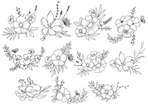 ilustrações de stock, clip art, desenhos animados e ícones de big bundle of floral frames. vector hand drawn bouquets - frame flower ornamental garden beauty in nature