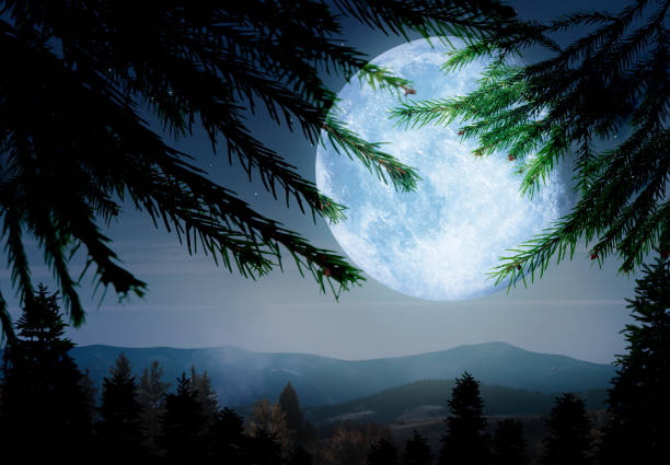 istock Fantasy landscape. Full moon in starry sky over mountains, view through branches 1388135318