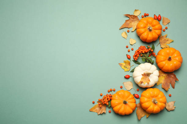 istock Different ripe pumpkins, autumn leaves and berries on green background, flat lay. Space for text 1388136055