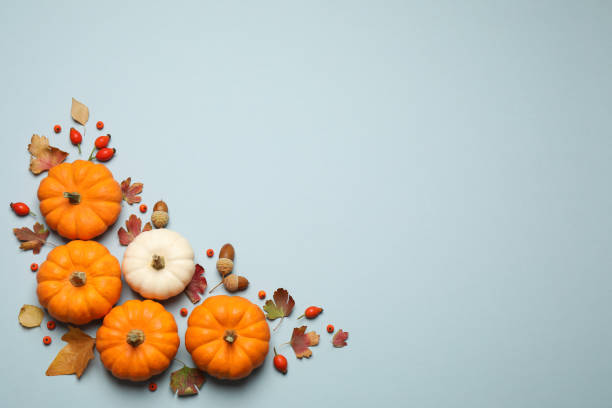 istock Different pumpkins, autumn leaves, berries and acorns on light blue background, flat lay. Space for text 1388136188
