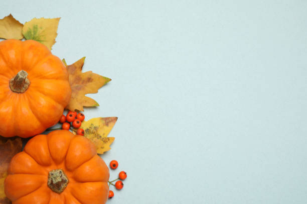 istock Fresh ripe pumpkins, autumn leaves and berries on light blue background, flat lay. Space for text 1388136871