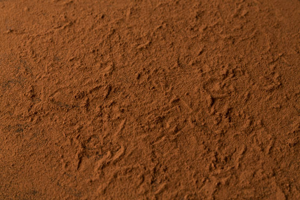 istock cocoa powder on the ground 1388138460