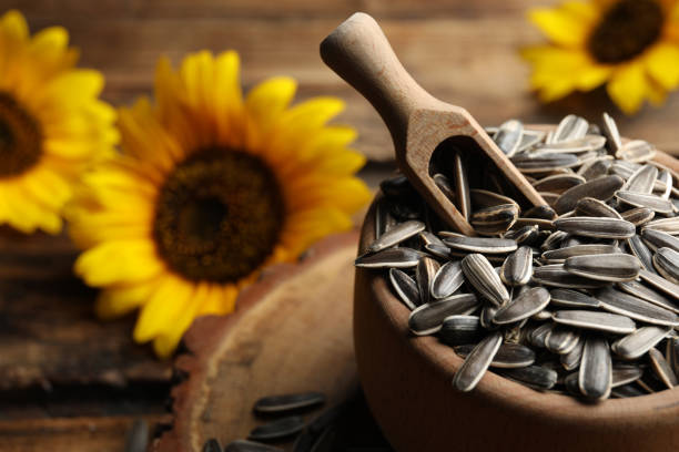 istock Raw sunflower seeds in bowl on table, closeup 1388139983