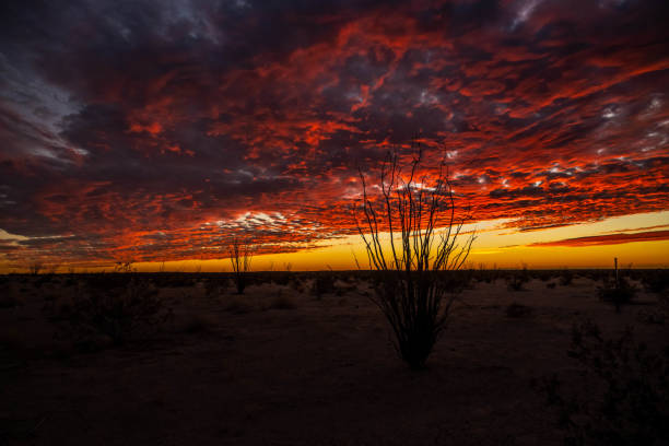 istock Dramatic vibrant sunset scenery in Yuma, Arizona 1388140593