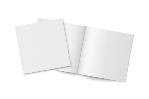 stockillustraties, clipart, cartoons en iconen met vector mockup of two white paperback magazines with transparent shadow. - brochure