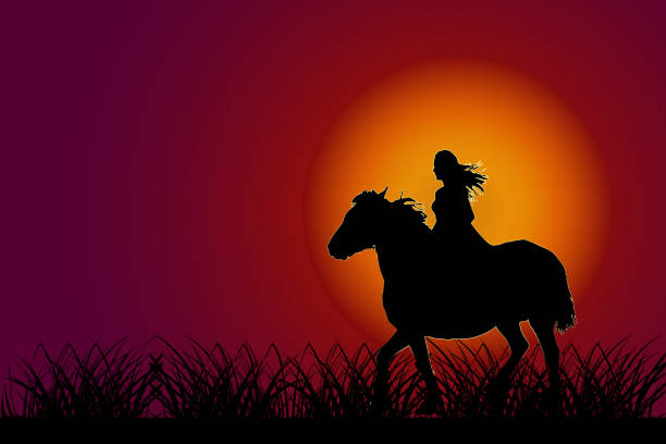 日没時に馬に乗った少女。日没の空の背景にライダーシルエットの馬。 - grass prairie silhouette meadow点のイラスト素材／クリップアート素材／マンガ素材／アイコン素材