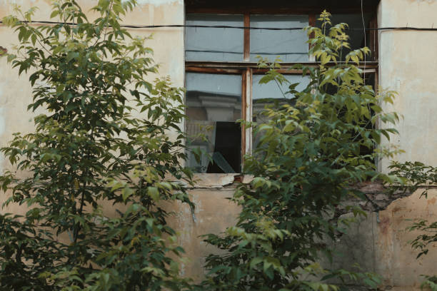 istock A broken window in an old house. The building was overgrown with grass 1388142238